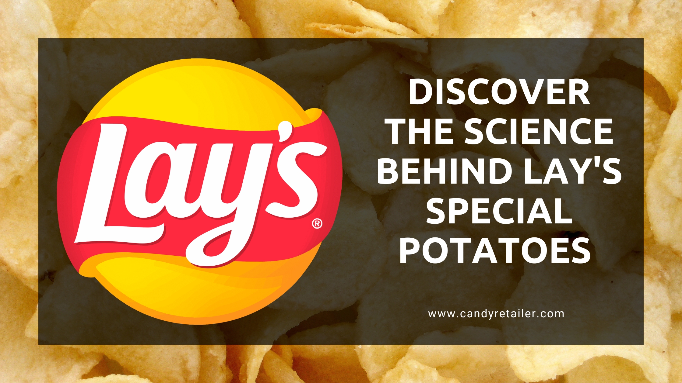 The Unique Potato Behind Lay’s Crunchy Chips
