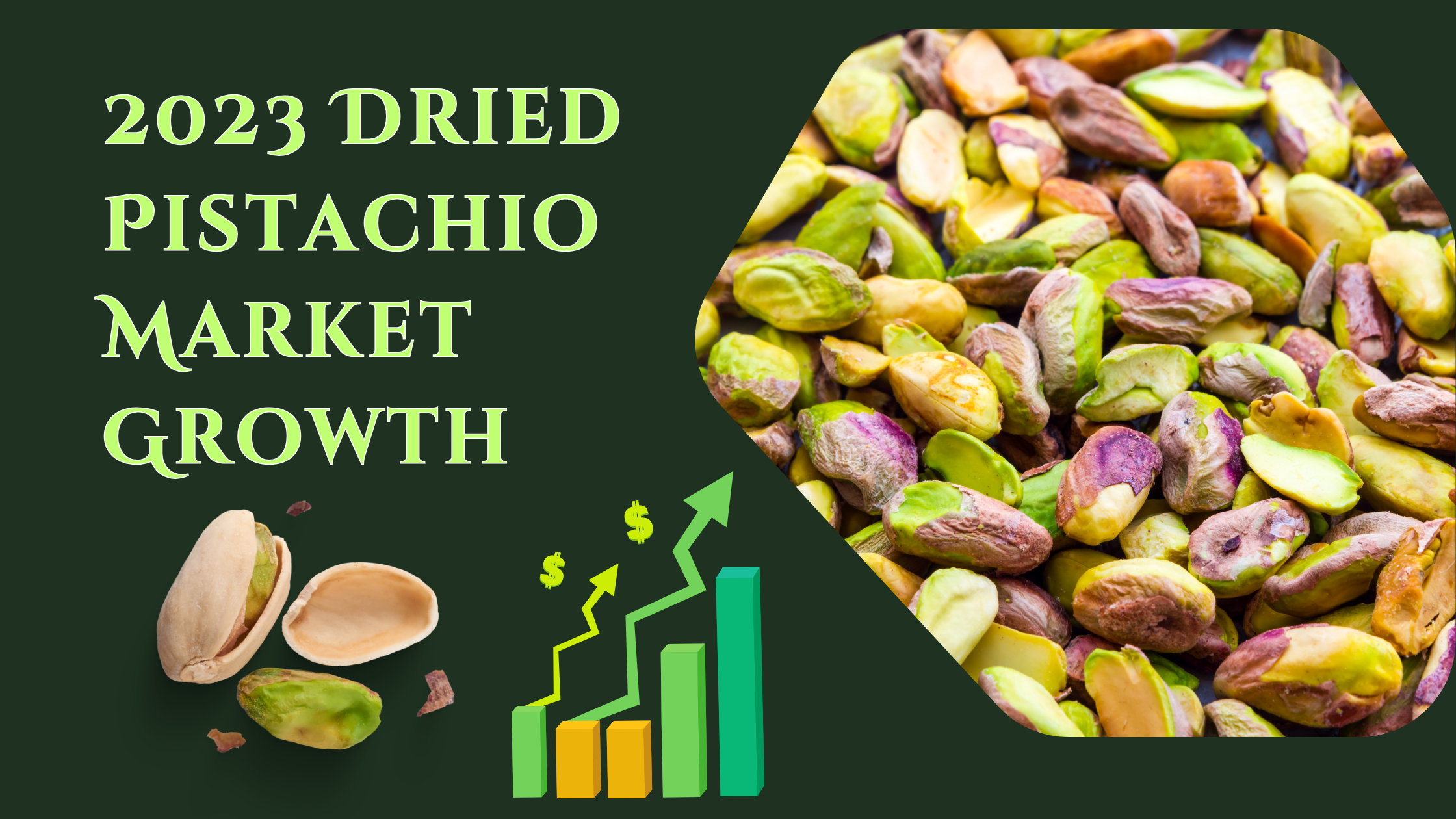 2023 Dried Pistachio Market Shows Remarkable Growth