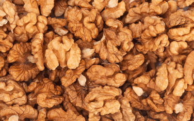 10 Reasons to Add Walnuts to Your Daily Diet