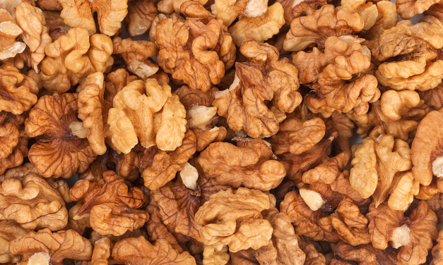 10 Reasons to Add Walnuts to Your Daily Diet