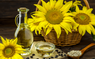The Nutritional Power and Significance of Sunflower Seeds