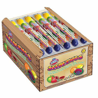 Dubble Bubble Gumball Seedlings 24ct Box