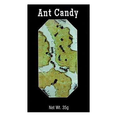 Hotlix Ant Candy Apple 1.24oz
