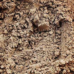 Blommer Dutch Cocoa Powder 1 Lb