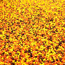 Candy Retailer Autumn Blend Nonpareils Cupcake Sprinkles 4 oz.