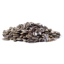 Sunflower Seeds Colossal Roasted and Unsalted 1lb