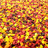 Candy Retailer Mini Fall Leaves Cupcake Sprinkles 4oz
