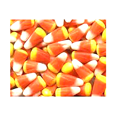 Sunrise Indian Corn 1lb